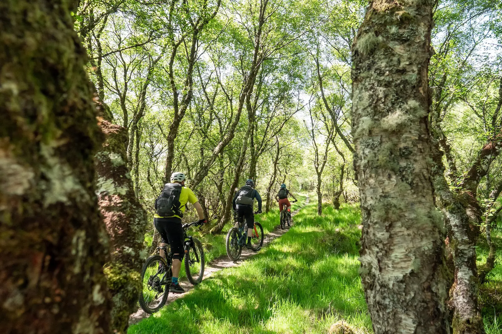 Lush green trails in Scotland