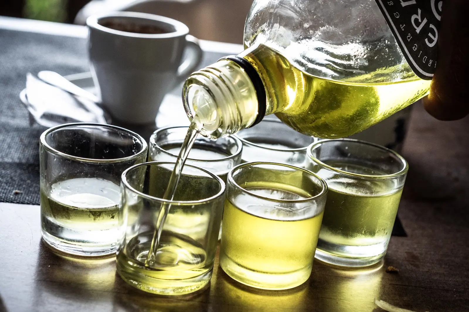 Olive oil tasting in Spain