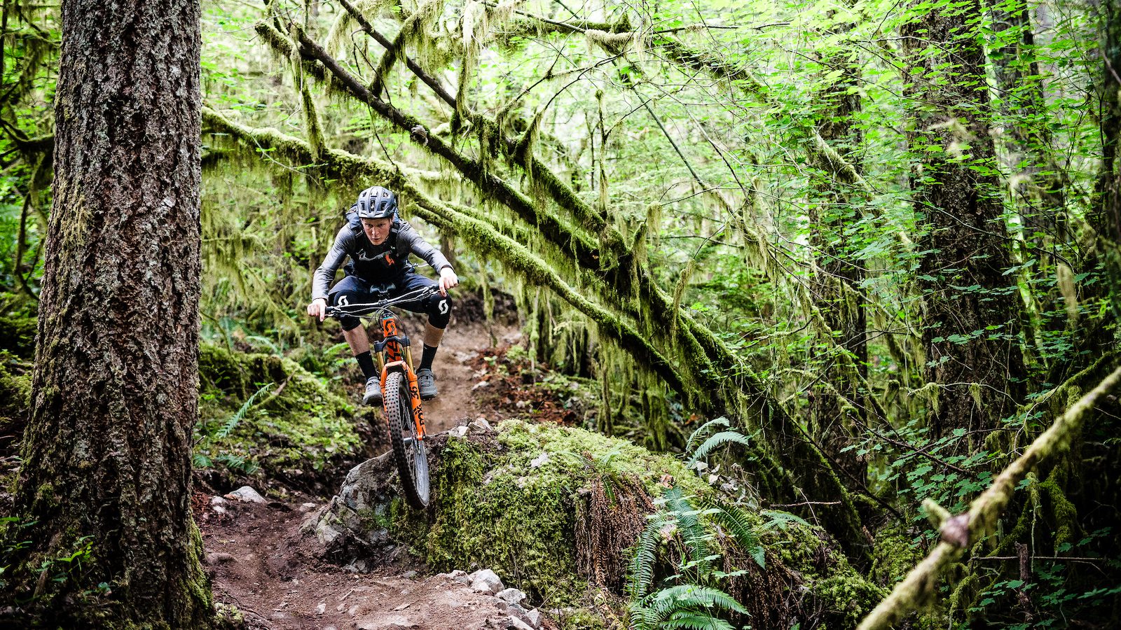 Lush forest and mountain biker, mountain bike tour British Columbia