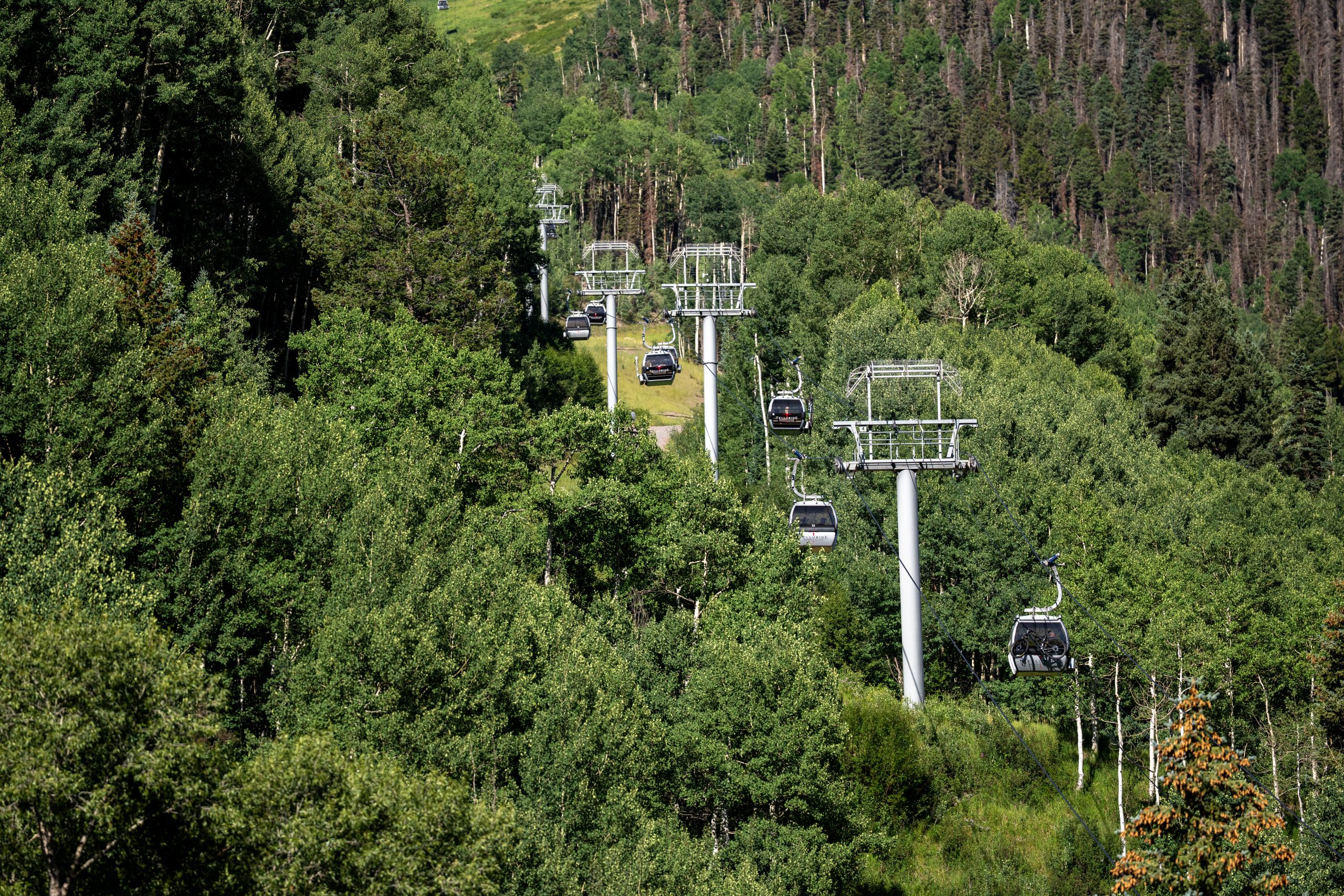 Telluride Mountain Gondola